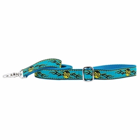 Paw Yang Teal Dog Leash dog mobility,outdoor pet aid