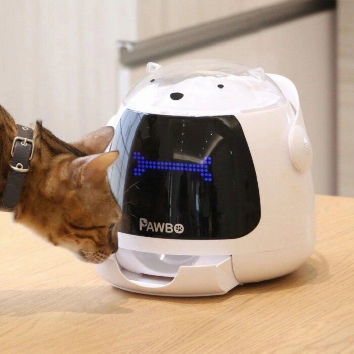 Pawbo Munch Treat Dispenser