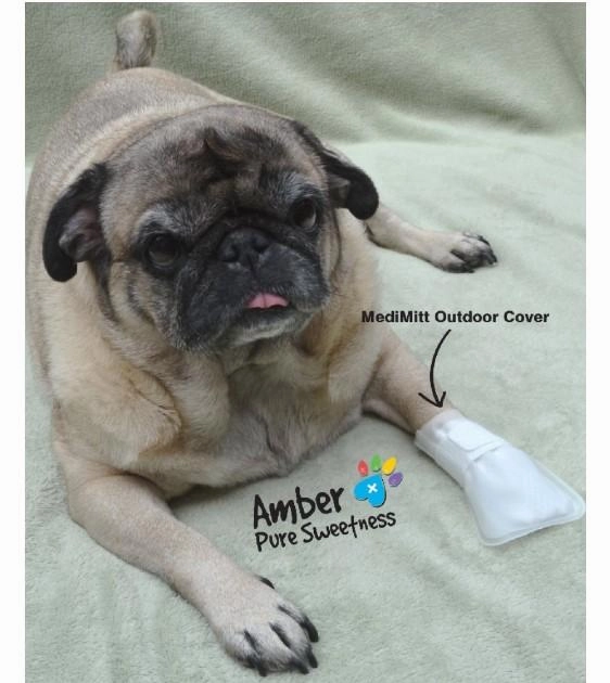 PawFlex MediMitt Outdoor Cover For Dogs