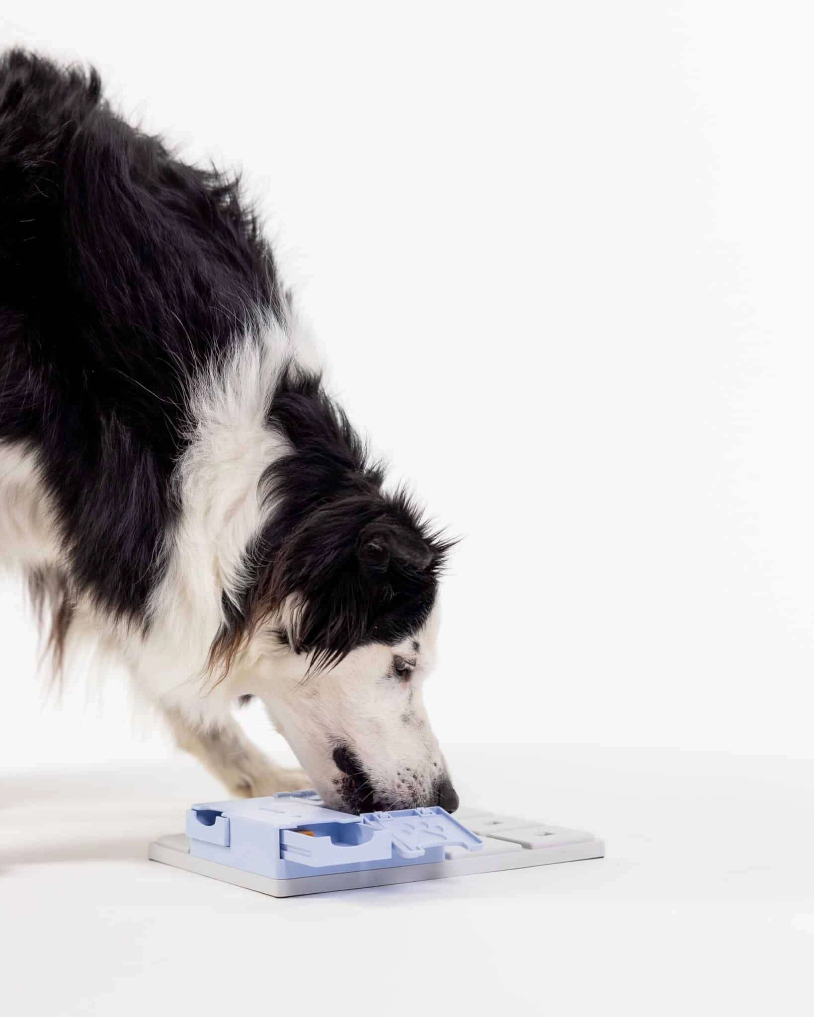 Pawzler Innovative Modular Dog Puzzles (Bunny Without Base)
