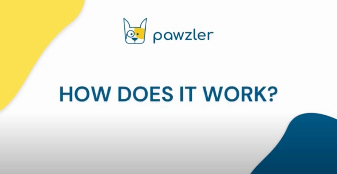 Pawzler Innovative Modular Dog Puzzles (Bunny Without Base)