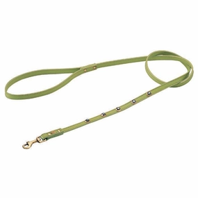 Pebbies Green/Hematite Dog Leash dog mobility,outdoor pet aid