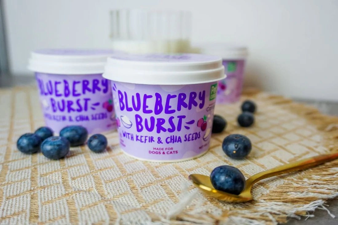 PetCubes Ice Cream For Dogs & Cats (Blueberry Burst)