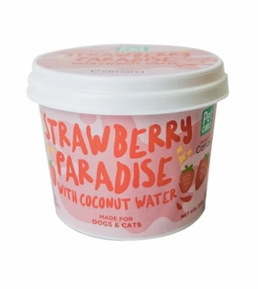 PetCubes Ice Cream For Dogs & Cats (Strawberry Paradise) raw dog food,fresh pet meals