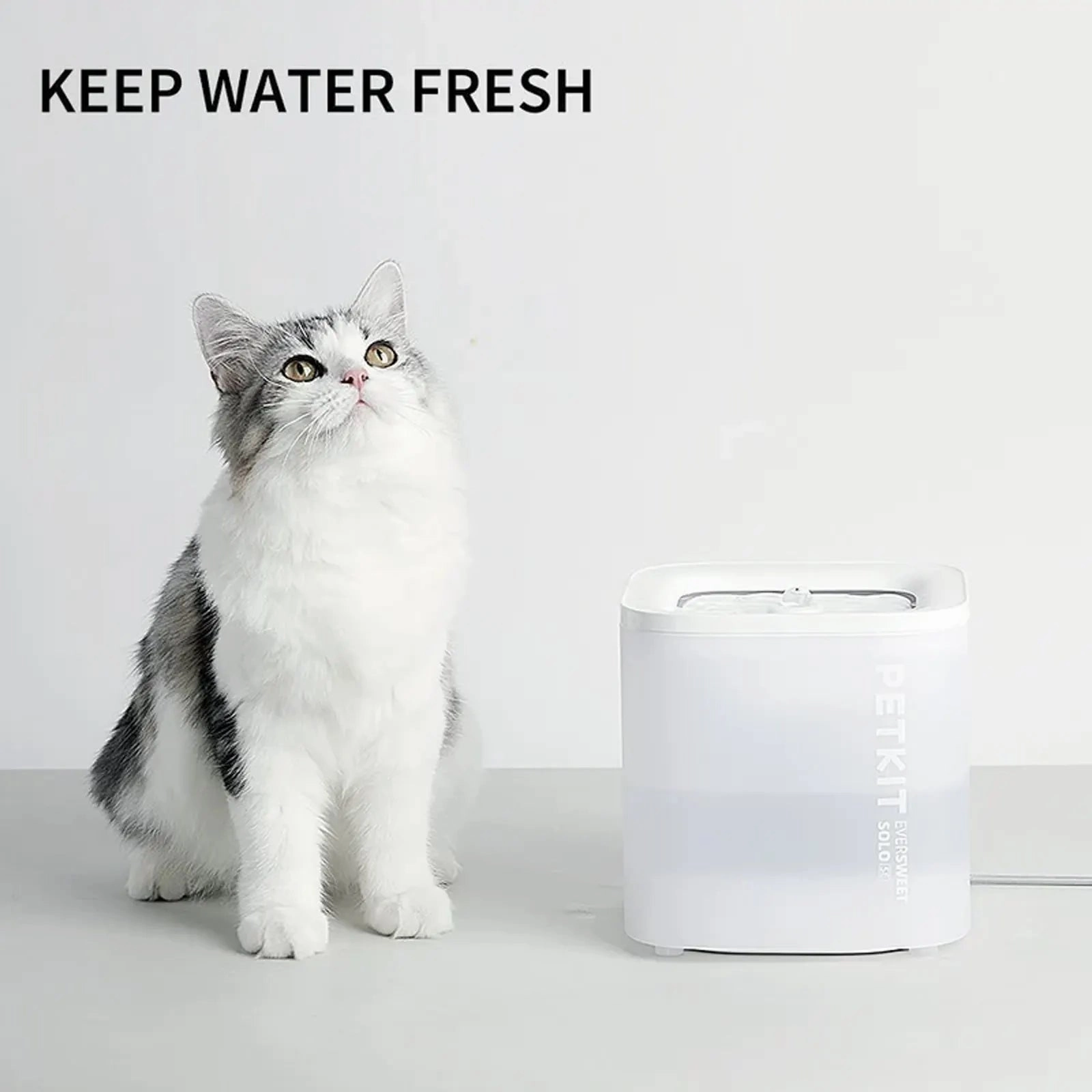 Petkit - Eversweet SOLO SE Drinking Fountain