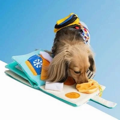 POOZPET Nosework Snuffle Mat For Dogs (7-12 Food Guide)