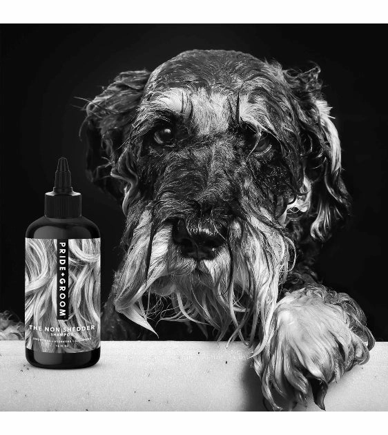 Pride   Groom The Non Shedder All-Natural Dog Shampoo for Dogs