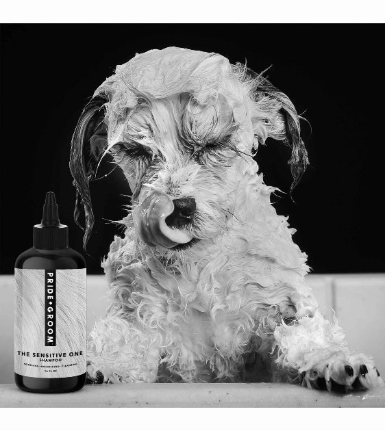 Pride   Groom The Sensitive One All-Natural Shampoo for Dogs and Puppies