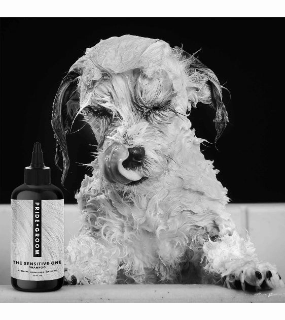 Pride   Groom The Sensitive One All-Natural Shampoo for Dogs and Puppies