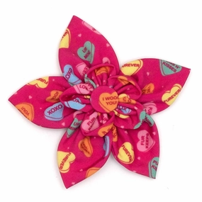 Puppy Love Dog Collar Flower dog collar accessory,collar decor