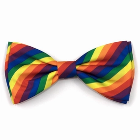 Rainbow Dog Bow Tie dog collar accessory,collar decor