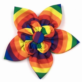 Rainbow Dog Collar Flower dog collar accessory,collar decor