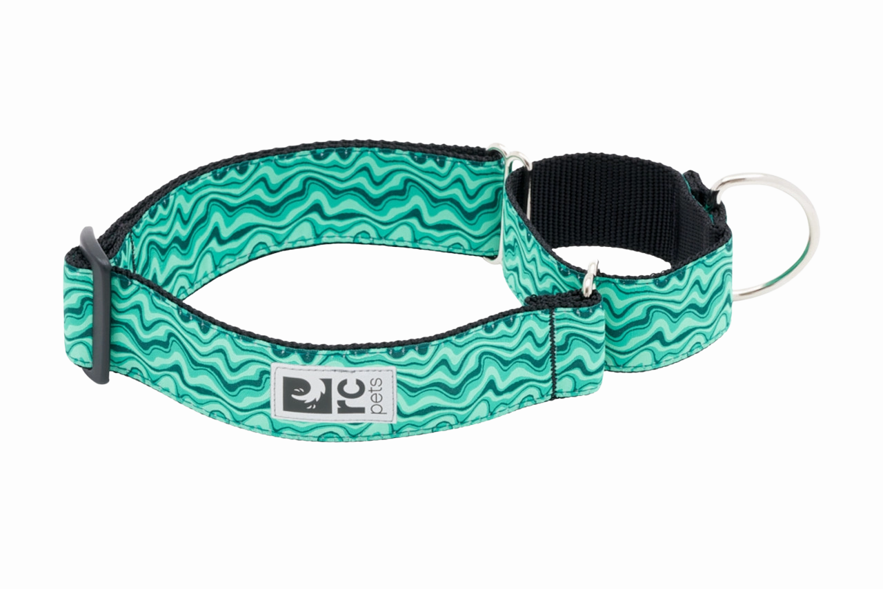 RC Pets Patterned All Webbing Training Dog Collar - Gemstone dog collar,pet neck strap