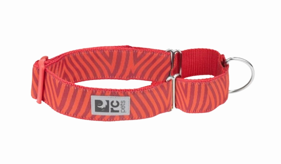 RC Pets Patterned All Webbing Training Dog Collar - Goji Chevron dog collar,pet neck strap