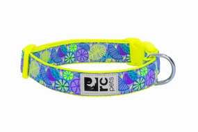 RC Pets Patterned Dog Clip Collar - Citrus dog collar,pet neck strap
