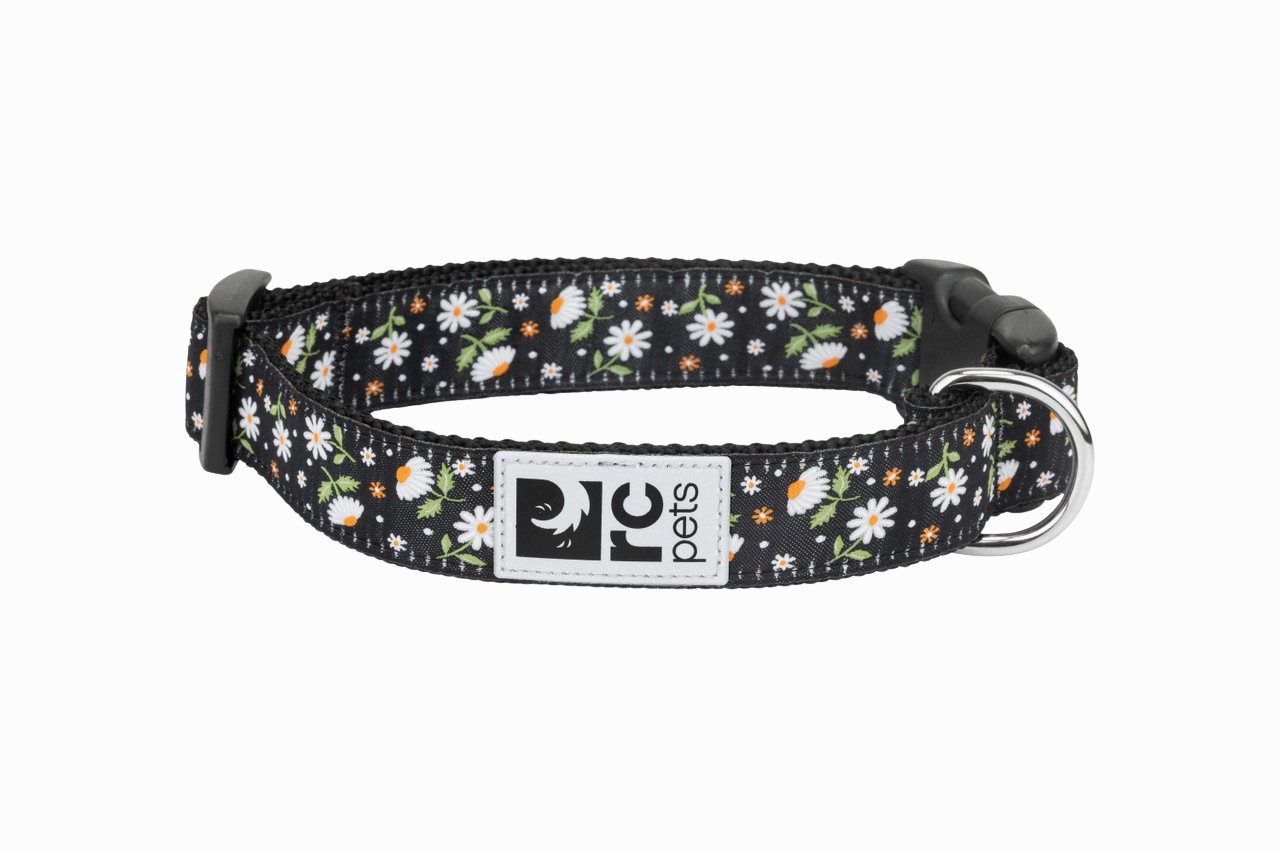 RC Pets Patterned Dog Clip Collar - Daisies dog collar,pet neck strap