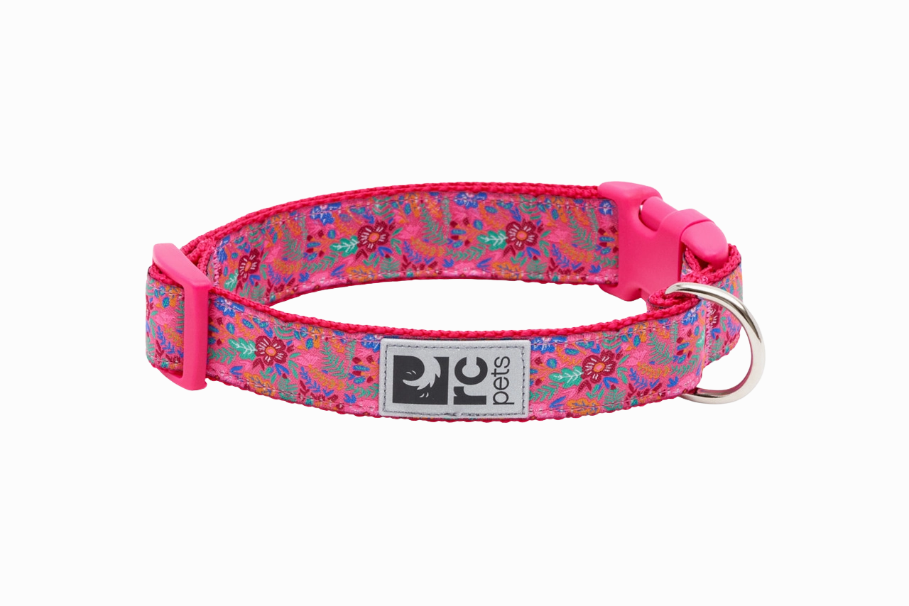 RC Pets Patterned Dog Clip Collar - Frida dog collar,pet neck strap