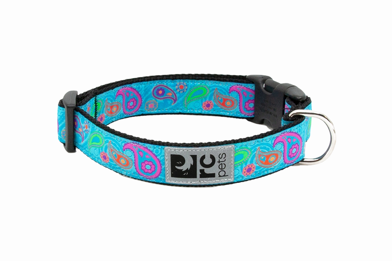 RC Pets Patterned Dog Clip Collar - Tropical Paisley dog collar,pet neck strap