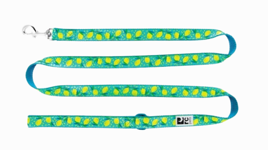 RC Pets Patterned Dog Leash 1/2"x6' - Lemonade dog bow tie,pet bandana,dog scarf