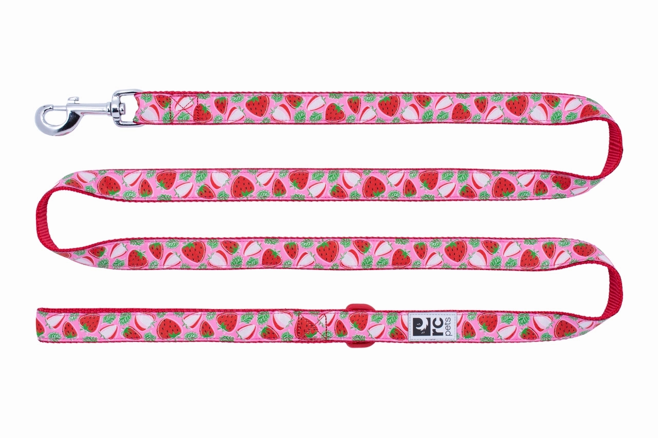 RC Pets Patterned Dog Leash 1/2"x6' - Strawberries dog bow tie,pet bandana,dog scarf