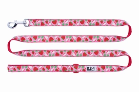 RC Pets Patterned Dog Leash 1"x6' - Strawberries dog bow tie,pet bandana,dog scarf