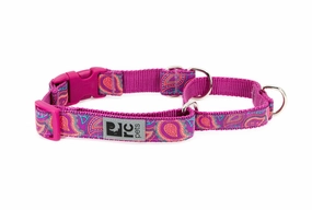 RC Pets Patterned Easy Clip Web Training Dog Collar - Bright Paisley dog collar,pet neck strap