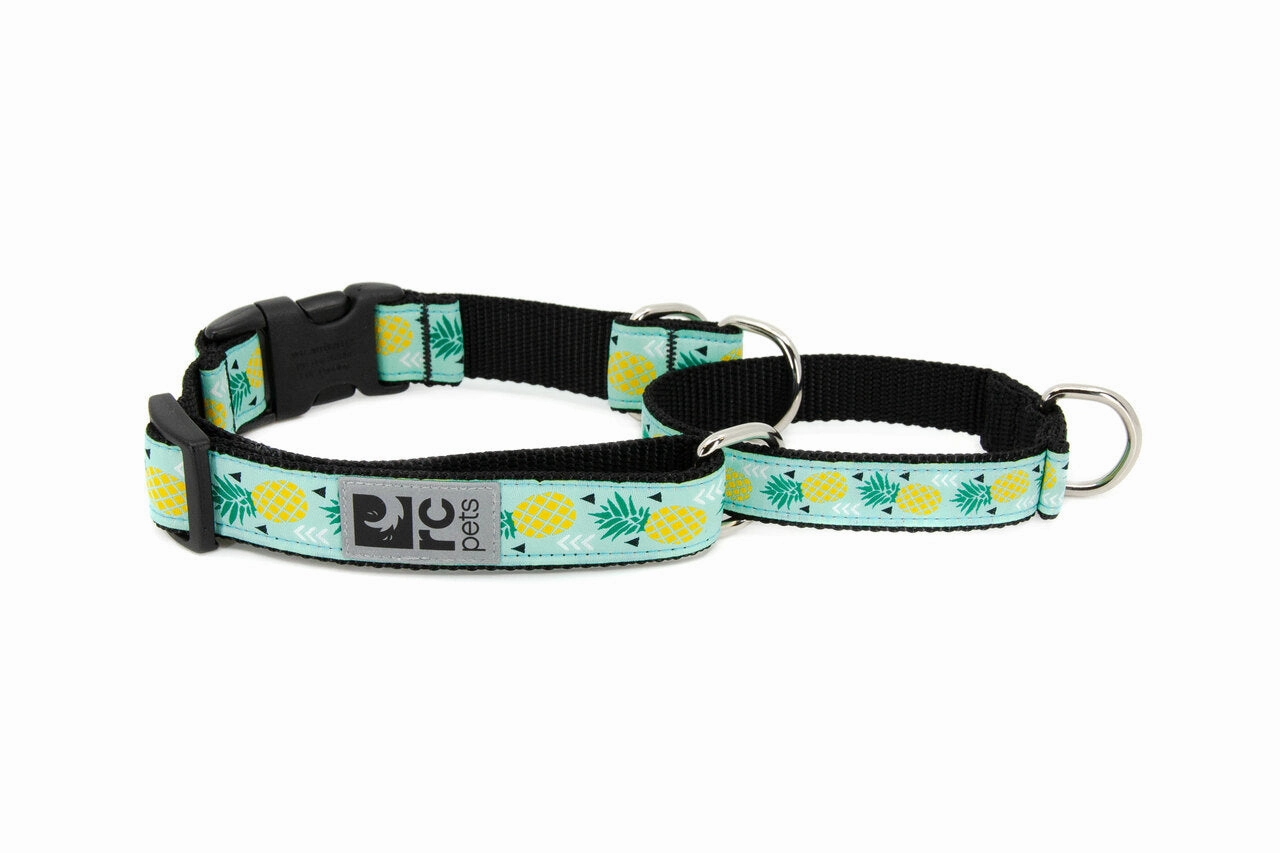 RC Pets Patterned Easy Clip Web Training Dog Collar - Pineapple Parade dog collar,pet neck strap
