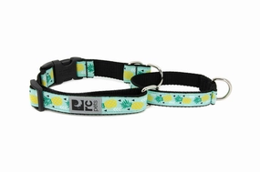 RC Pets Patterned Easy Clip Web Training Dog Collar - Pineapple Parade dog collar,pet neck strap