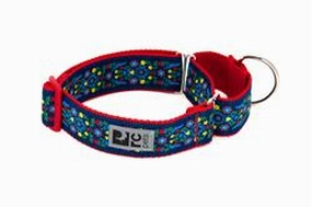 RC Pets Patterned Wide Web Training Dog Collar - Feelin Folksy dog collar,pet neck strap