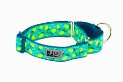 RC Pets Patterned Wide Web Training Dog Collar - Lemonade dog collar,pet neck strap