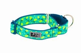 RC Pets Patterned Wide Web Training Dog Collar - Lemonade dog collar,pet neck strap