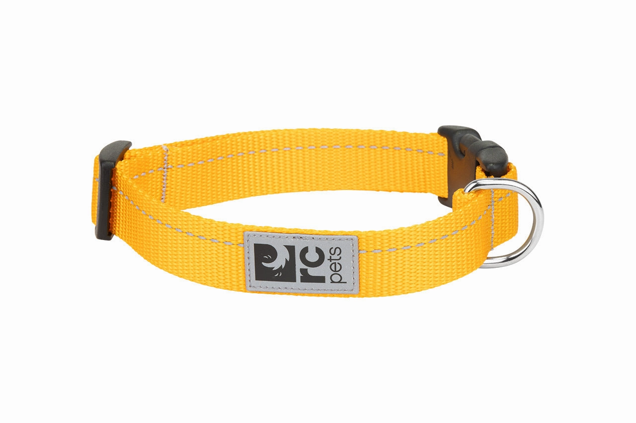 RC Pets Primary Dog Clip Collar - Marigold dog collar,pet neck strap