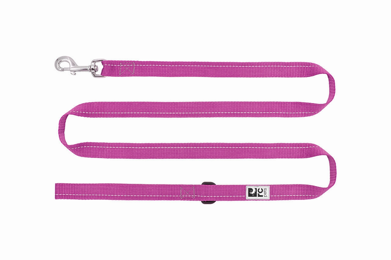 RC Pets Primary Dog Leash 1"x6' - Mulberry dog bow tie,pet bandana,dog scarf