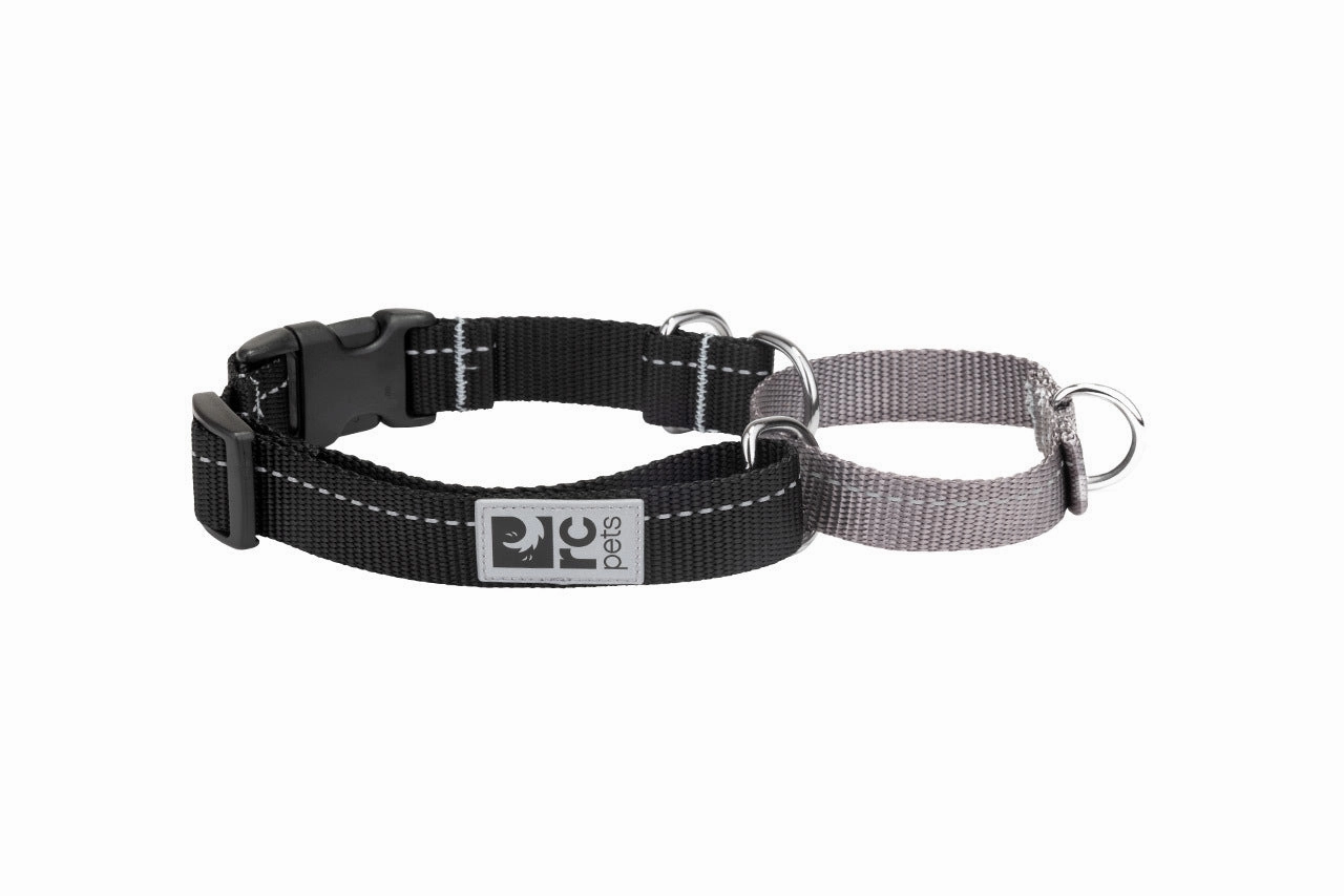 RC Pets Primary Easy Clip Web Training Dog Collar - Black dog collar,pet neck strap
