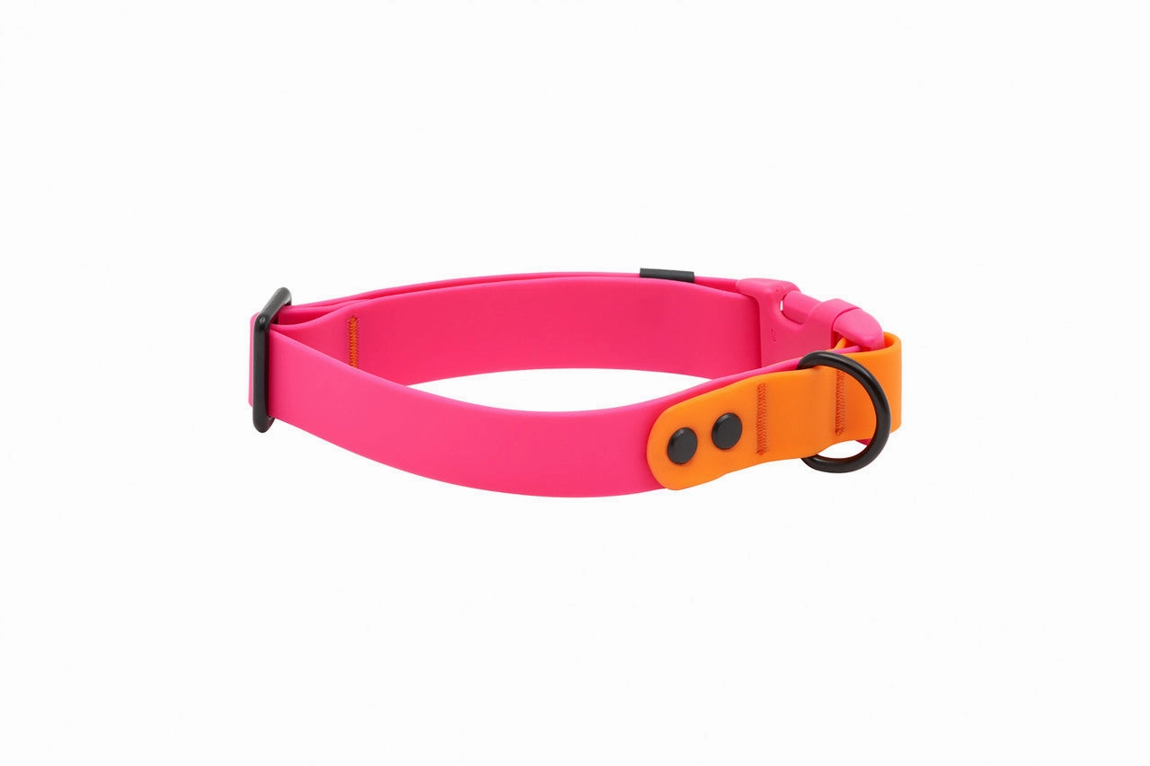RC Pets Waterproof Dog Clip Collar - Azalea/Orange dog collar,pet neck strap