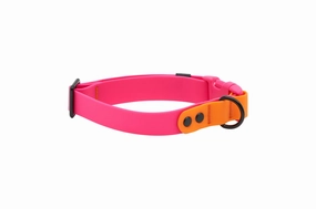RC Pets Waterproof Dog Clip Collar - Azalea/Orange dog collar,pet neck strap