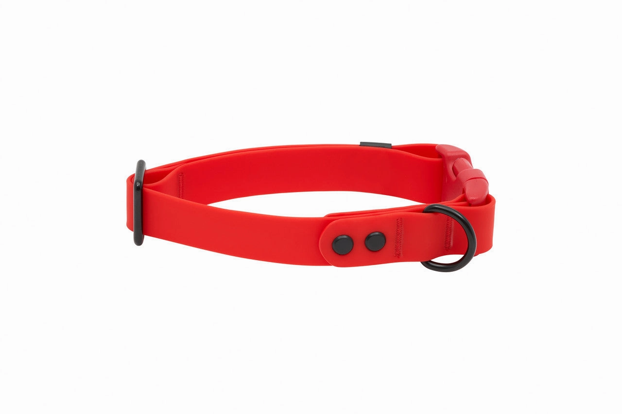 RC Pets Waterproof Dog Clip Collar - Red dog collar,pet neck strap