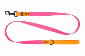 RC Pets Waterproof Dog Leash 1"x5' - Azalea/Orange dog bow tie,pet bandana,dog scarf