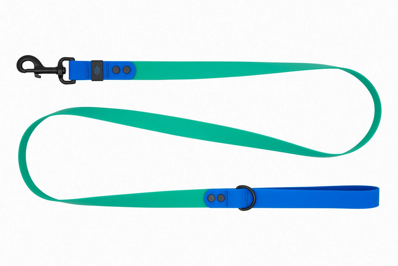 RC Pets Waterproof Dog Leash 1"x5' - Parakeet/Sapphire dog bow tie,pet bandana,dog scarf