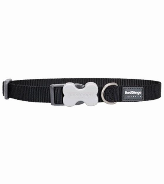 Red Dingo Classic Dog Collar (Black)