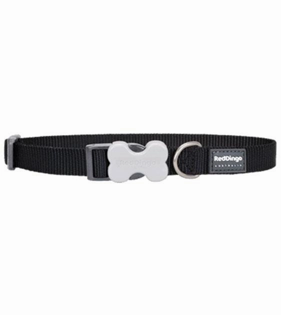 Red Dingo Classic Dog Collar (Black) dog charms,dog ID