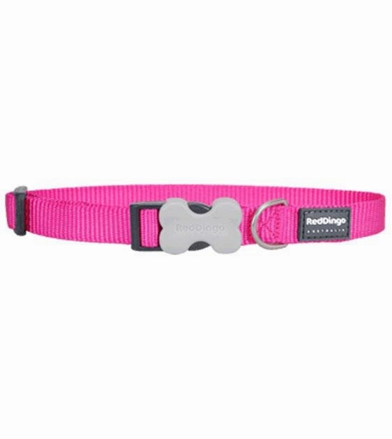 Red Dingo Classic Dog Collar (Hot Pink) dog charms,dog ID