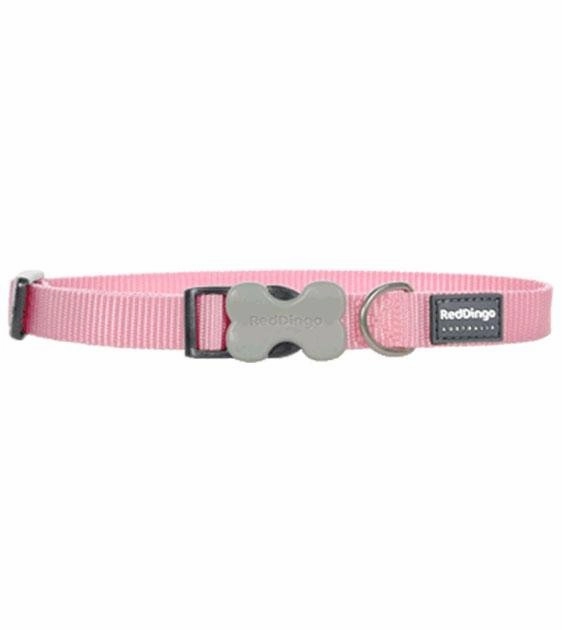 Red Dingo Classic Dog Collar (Pink) dog charms,dog ID