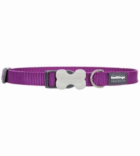 Red Dingo Classic Dog Collar (Purple) dog charms,dog ID