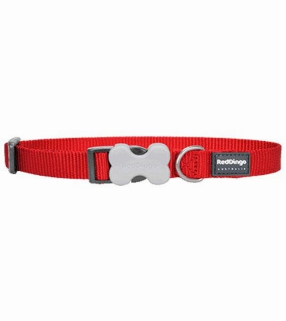 Red Dingo Classic Dog Collar (Red) dog charms,dog ID