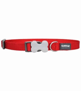 Red Dingo Classic Dog Collar (Red) dog charms,dog ID