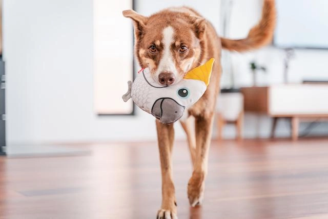 Red Dingo Durables Cockatoo Dog Toy