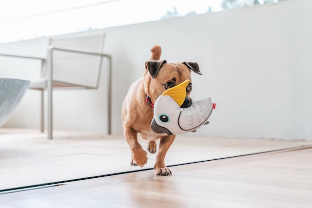 Red Dingo Durables Cockatoo Dog Toy