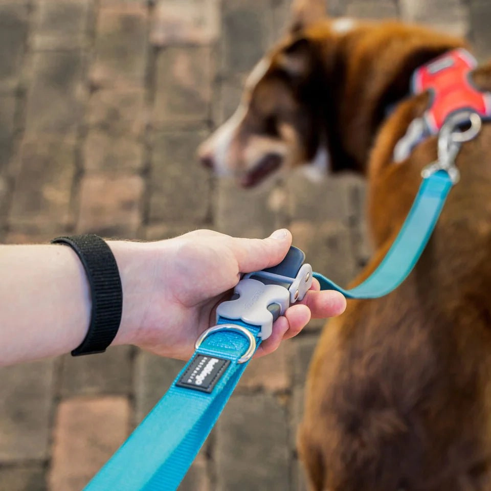 Red Dingo Hands-Free All-In-One SuperLead for Dogs (Black)
