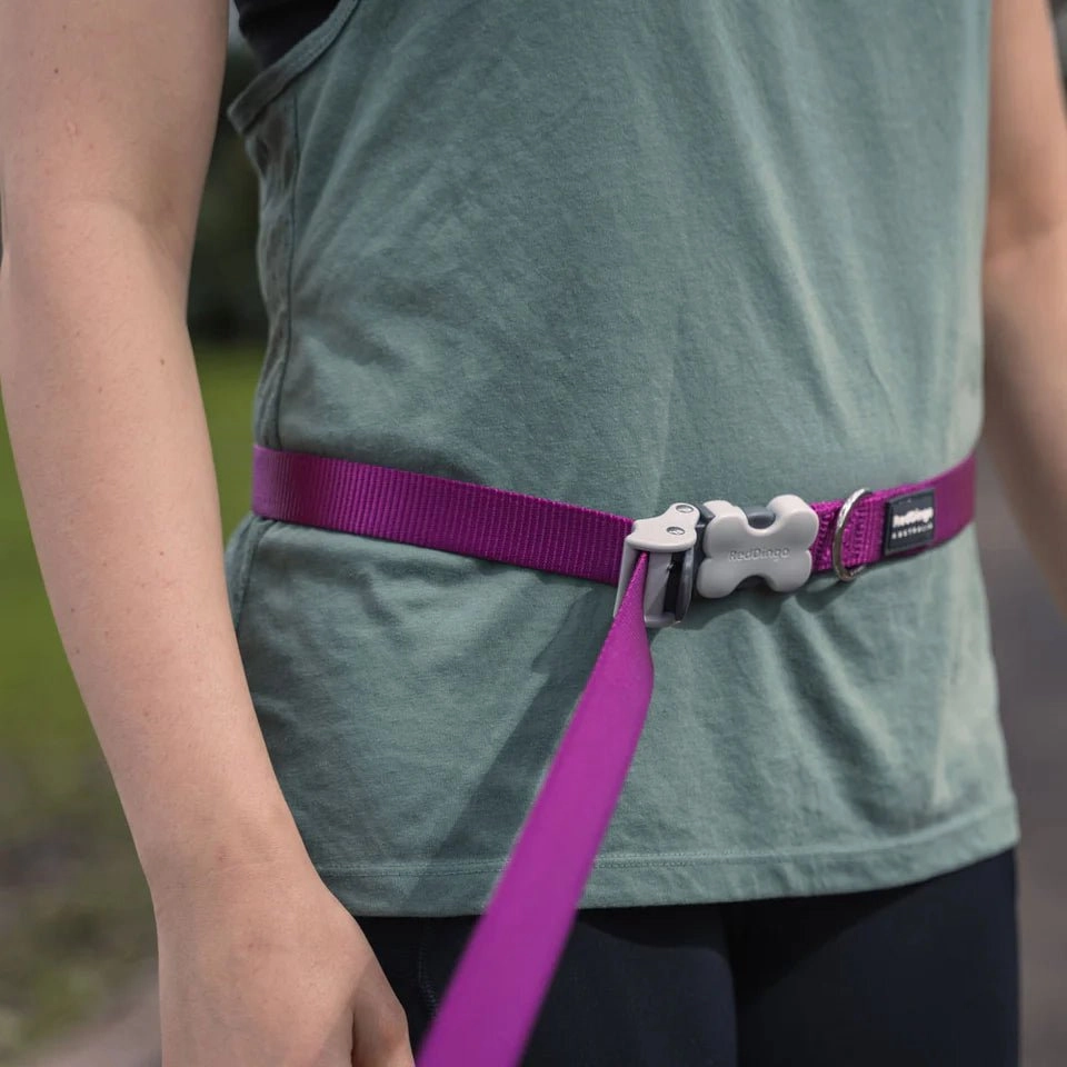 Red Dingo Hands-Free All-In-One SuperLead for Dogs (Navy)
